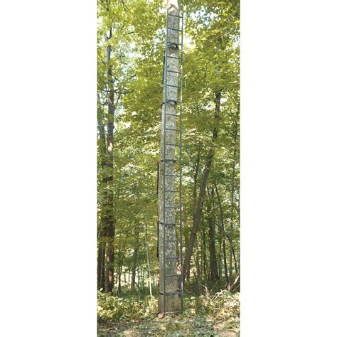 Image result for Single Man Ladder Tree Stands