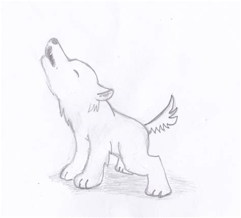 Wolf Pup Drawings