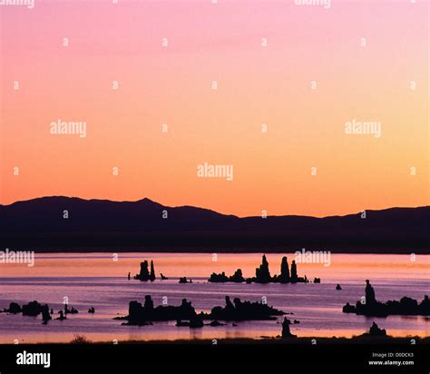 Brilliant Dawn Light Silhouettes Mono Lake's Exposed Tufa Towers Stock ...