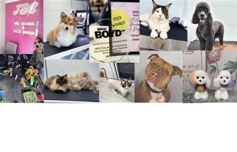 Image result for Go Fetch