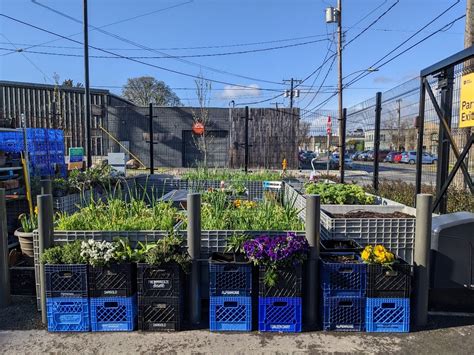 Sustainability in Action at Ballard Food Bank | Ballard Food Bank