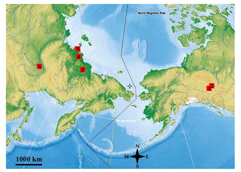 A Review of Recently Discovered Remains of the Pleistocene Branchiopods ...