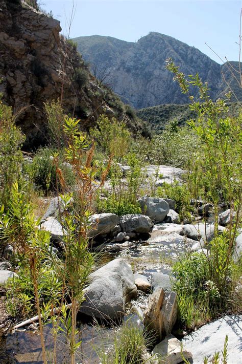 Trail Canyon Hike - Condor Peak • CALWILD