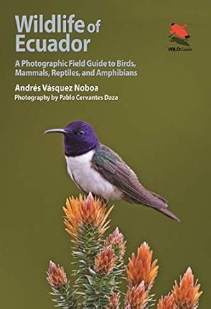 Wildlife of Ecuador: A Photographic Field Guide to Birds, Mammals ...