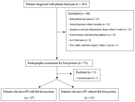 Lower Extremity Muscle Performance and Foot Pressure in Patients Who ...