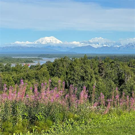 TALKEETNA ALASKAN LODGE (Alaska) - Hotel Reviews, Photos, Rate ...