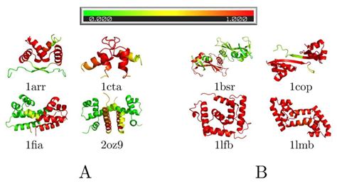 A Kinetic Transition Network Model Reveals the Diversity of Protein ...