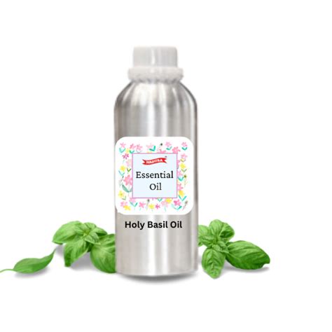 Basil Oil - Holy – Madurasherbals