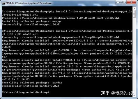 Install Pandas Python 3.10 的图像结果