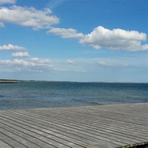 YSTAD SANDSKOG (Updated 2026) All You Need to Know BEFORE You Go (with ...