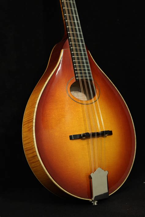 Mandolin Shaped Instrument at Judy Roybal blog