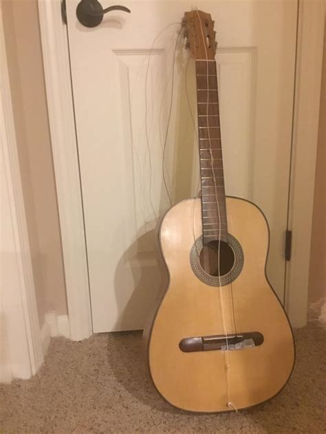 Image result for 2 String Guitar