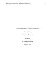 Developmental Disability Practices 的图像结果