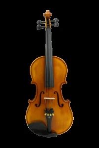 Hertz Digitron PVT. LTD. » Products