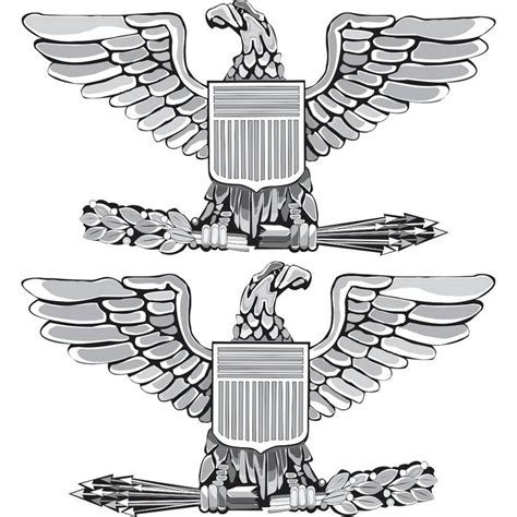 Image result for USAF Colonel Rank