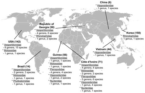 Molecular Phylogeny of Hantaviruses Harbored by Insectivorous Bats in Côte d’Ivoire and Vietnam