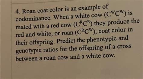 Image result for Example of Codominance