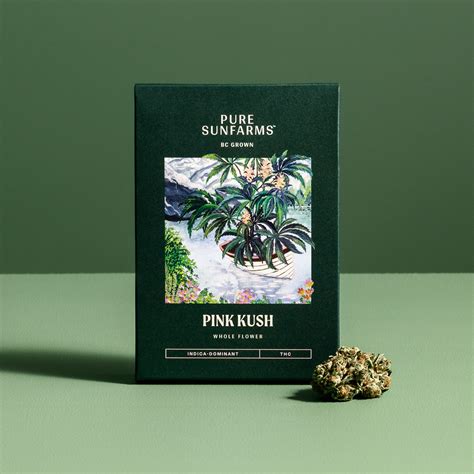 Everyone’s Favourite Indica: Pure Pink Kush — Pure Sunfarms