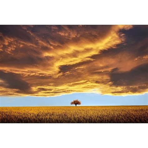 Amazing Nature