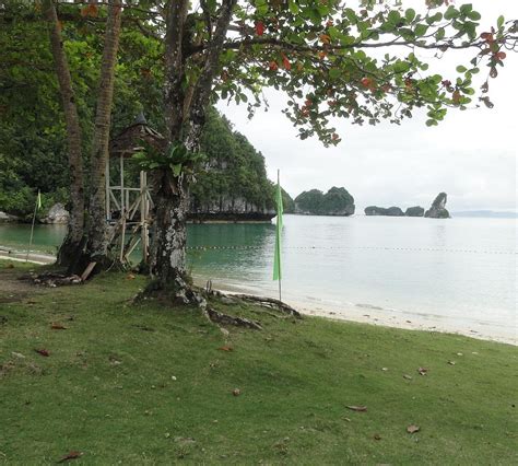 MARABUT MARINE PARK (2025) All You Need to Know BEFORE You Go (with ...