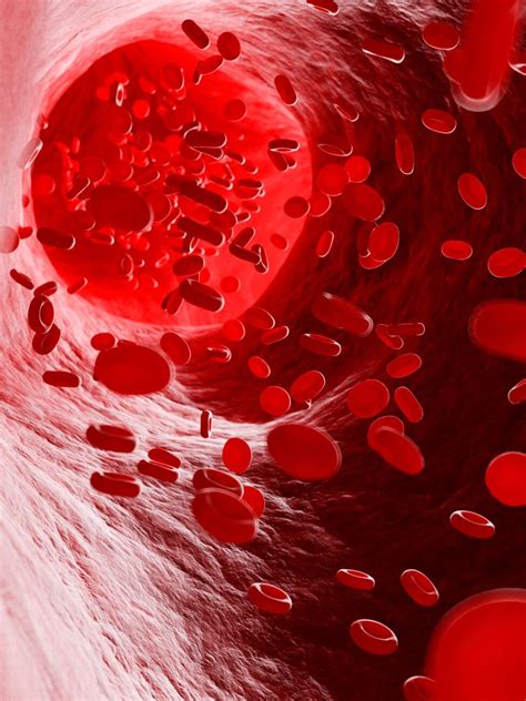 शरीर में आयरन की कमी पूरा करती हैं ये चीजें, बढ़ेगा हीमोग्लोबिन ...