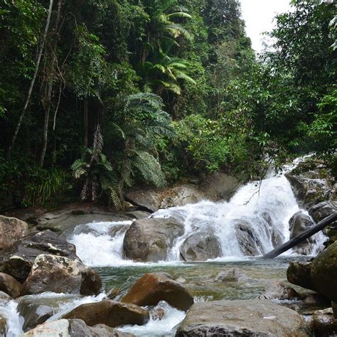 GUNUNG GADING NATIONAL PARK (2025) All You Need to Know BEFORE You Go ...