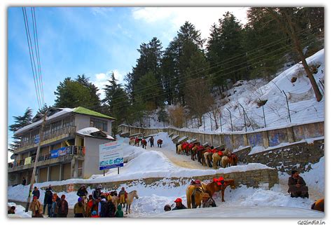 go2india.in : Kufri snow and the road towards top Zoo