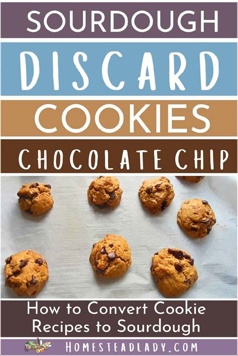 Sourdough Discard Cookies (Easy Chocolate Chip) • Homestead Lady