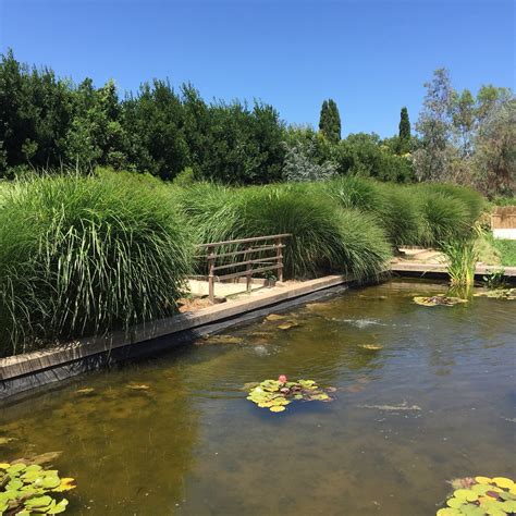 THE 10 BEST Places to Visit in Elne (2026) - Must-See Attractions