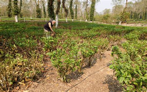 Press Information Bureau