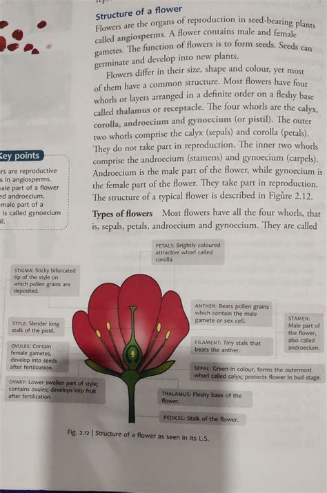 1. Explain the structure of flower and its functions. Also, draw a well ...