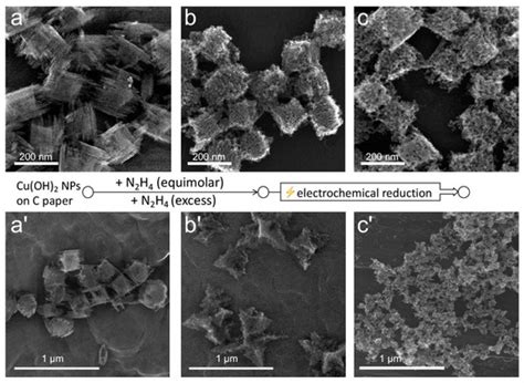 Reductive and Coordinative Effects of Hydrazine in Structural ...