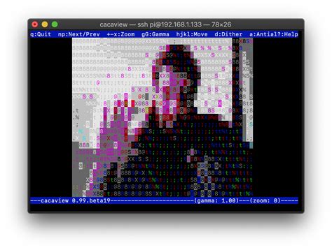 Image result for Raspberry Pi Camera Rtsp Stream