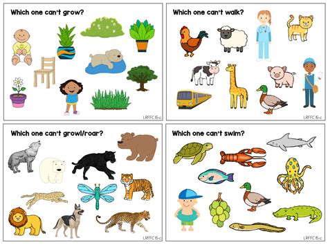 Image result for Wiretechnology Org VB Programming