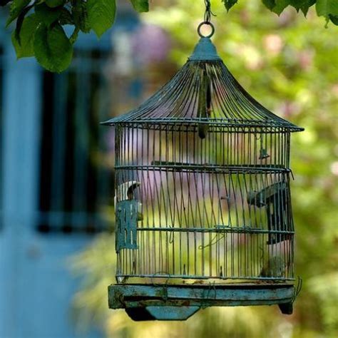 The Cage – Delhi Poetry Slam