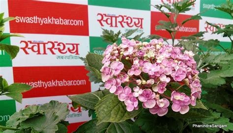 Symposium On Digital Health, Kathamandu, Kathmandu, 21 March to 23 ...