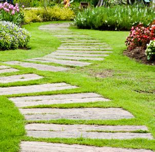 2020 Ford Transit 10 Passenger Van 的图像结果