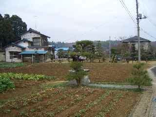 Image result for Java B Craft