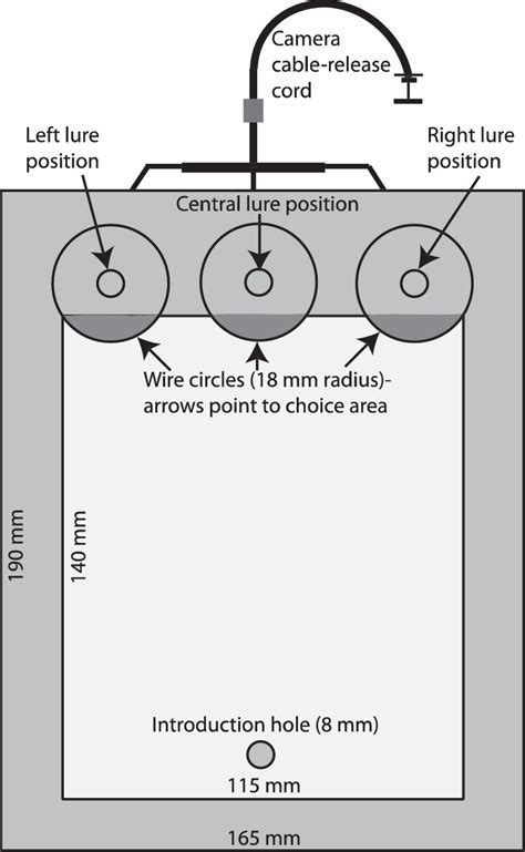Image result for Rectangular Glass Box