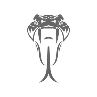 Image result for Python Snake Programming Logo