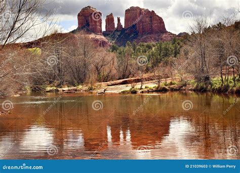 Cathedral Rock Canyon Oak Creek Sedona Arizona Stock Image - Image of ...