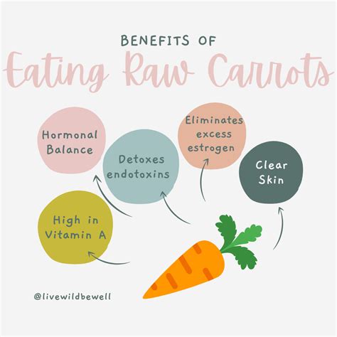 Benefits of Eating Raw Carrots + Raw Carrot Salad Recipe — WILD + WELL | nutrition to optimize ...