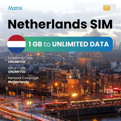 Image result for Matrix Sim Card