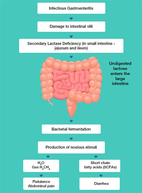 Role of casein-based nutritional supplement in management of secondary ...