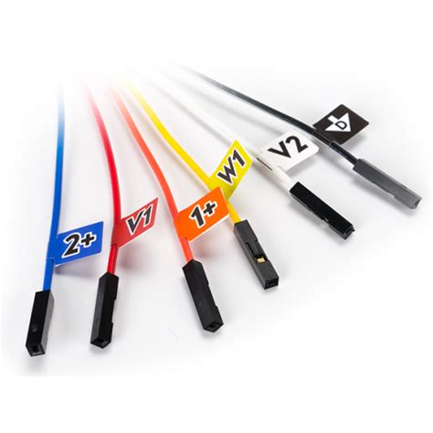 30-pin Flywire Labels for the OpenScope MZ at MG Super Labs India