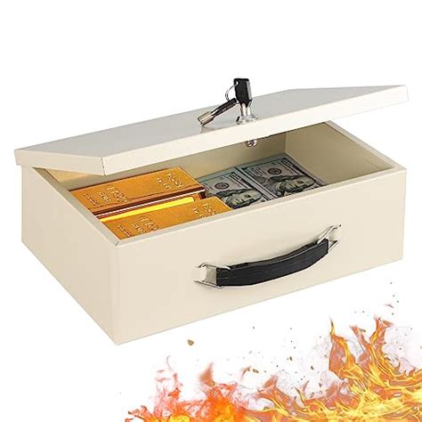 Fireproof Lock Box Reviews 的图像结果