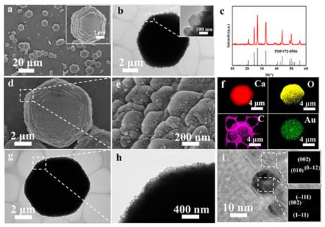 Bio-Inspired Photosynthesis Platform for Enhanced NADH Conversion and L ...