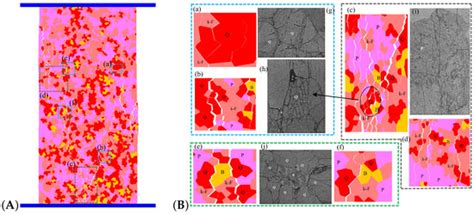 Evolutionary Analysis of Heterogeneous Granite Microcracks Based on ...