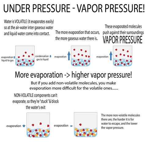 High Surface Tension And Low Vapor Pressure Of Water at Robert Mulkey blog
