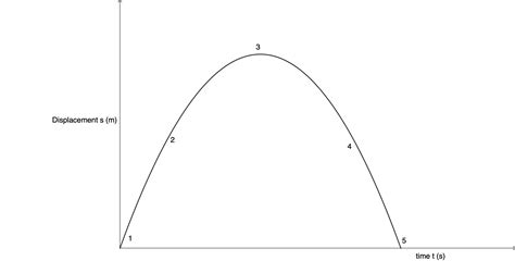 Image result for Vertical Projectile Graphs Physics Labeled